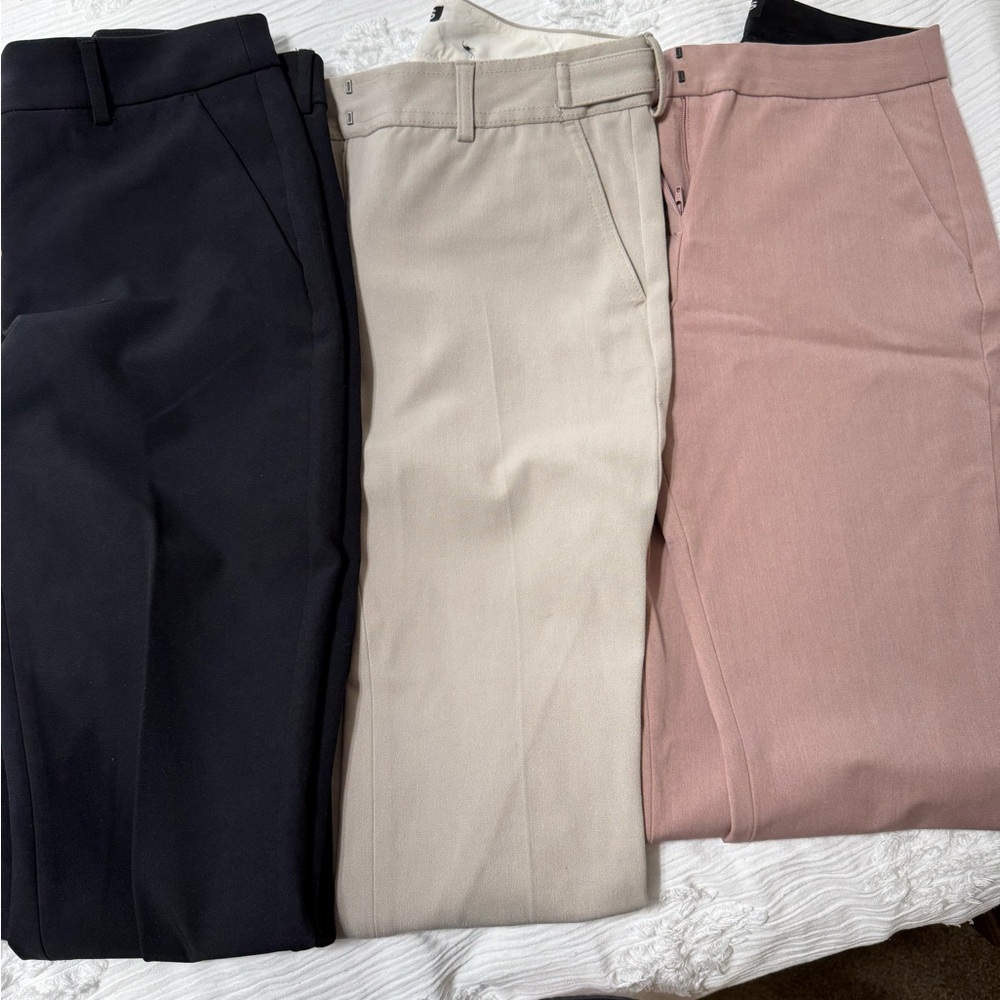 Express Columnist Pants Set of 3 - Black, Beige, and Pink